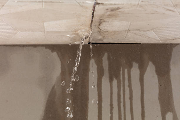 Professional Water Damage Restoration technician working in Travelers Rest, SC